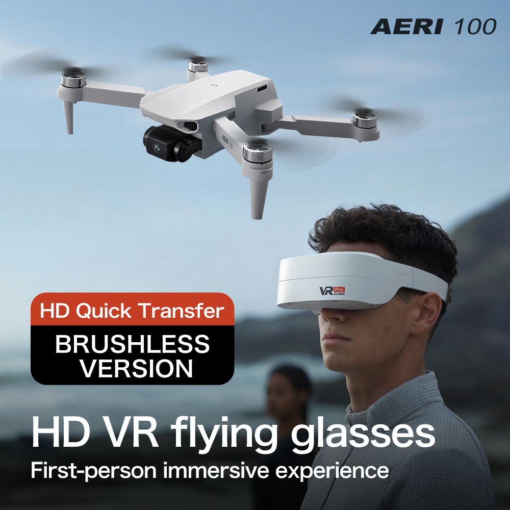 AERI100 VR Version Monitor Dro - đánh giá và giá Esc 4In1 Brushless